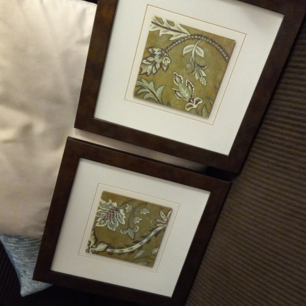 Set of Two Framed Botanical Prints...